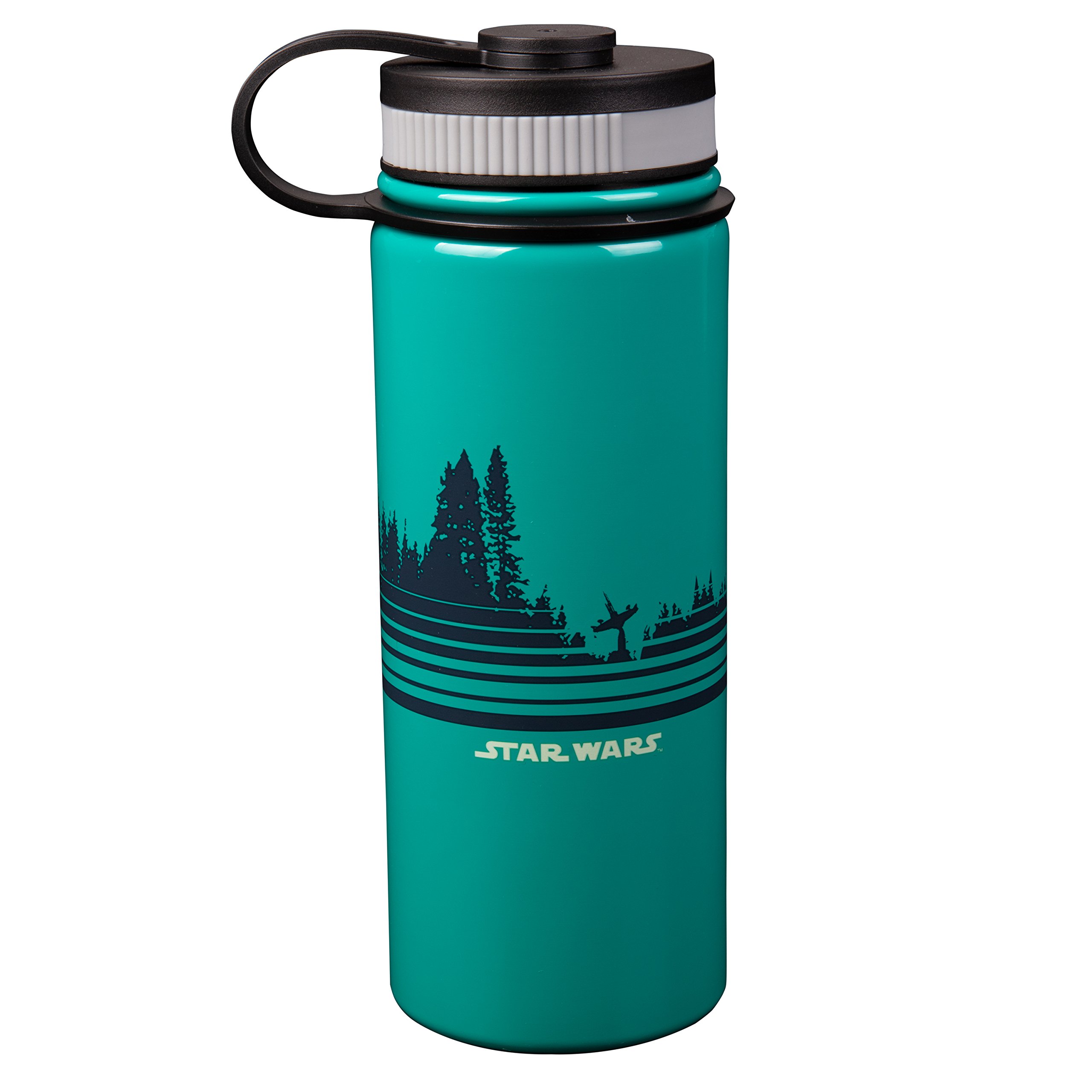 Amazon.com: Star Wars Endor Stainless Steel Water Bottle, 18oz